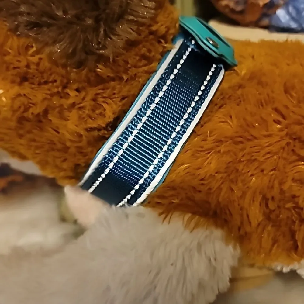 Airtag dog collar size M
